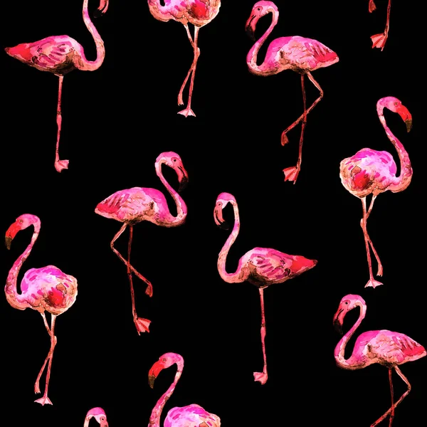 Flamingo Patroon Tropische Zomer Zwart Rood Roze Print Exotische Lente — Stockfoto