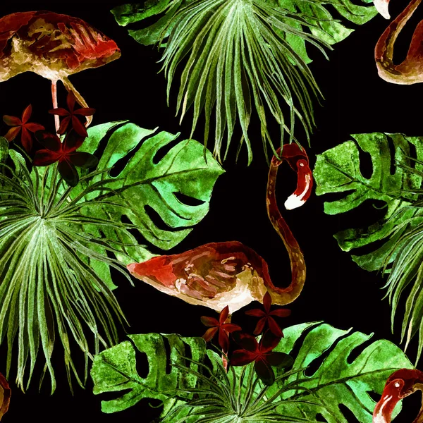 Flamingo Patroon Tropische Zomer Zwart Groene Print Exotische Lente Monstera — Stockfoto