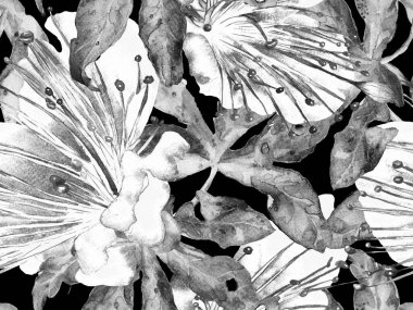 Cesur Çiçek Tasarımı. Siyah ve Beyaz Arkaplanda Büyük Hawaii Kusursuz Parmak izi. Büyük Egzotik Bahar Suluboya Lilikoi Sonsuz Geçmişi. Sanatsal Kalın Çiçek Tasarımı.