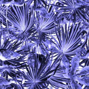 Flamingo deseni. Tropikal beyaz mavi iz. Kuşlarla dolu egzotik bahar tekstil arka planı. Moda Hawai Ormanı tekrar eden pürüzsüz fayanslar. Palm Botanik mayo tasarımı. Miami Vahşi Hayatı.