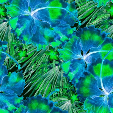 Tropikal desen. Suluboya egzotik çiçekler ve canavar yaprakları. Siyah mavi bitkiler pürüzsüz desende. Yaz Hawaii suluboya geçmişi. Tropik palmiyeler, canavarlar, çiçek desenleri..