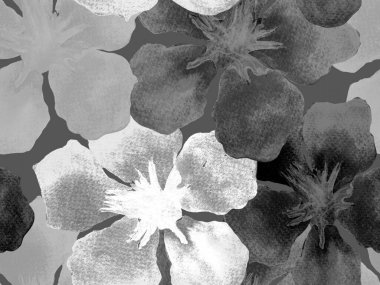 Hawaii suluboya deseni. Siyah ve beyaz tropikal desensiz çiçek deseni. Hibiscus ve zakkum Hawaii 'de. Aloha mayo tasarımı. Egzotik buket moda illüstrasyonu. Suluboya yatay fayans.