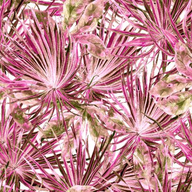 Tropikal desen. Suluboya egzotik çiçekler ve canavar yaprakları. Tertemiz beyaz kırmızı bitkiler. Yaz Hawaii suluboya geçmişi. Tropik palmiyeler, canavarlar, çiçek desenleri..