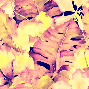 Tropikal desen. Suluboya egzotik çiçekler ve canavar yaprakları. Palm ve Hibiscus ormanları pürüzsüz. Bahar Hawaii suluboya geçmişi. Tropik palmiyeler, canavarlar, çiçek desenleri..