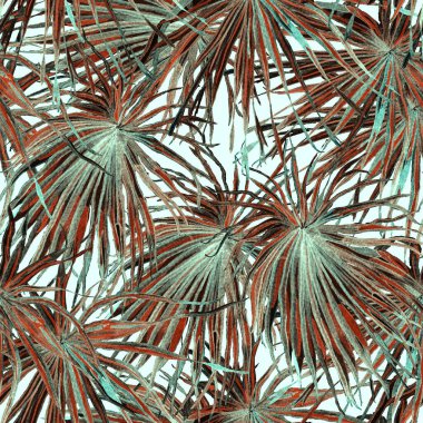 Tropikal desen. Suluboya egzotik çiçekler ve canavar yaprakları. Kusursuz desenli beyaz yeşil bitkiler. Yaz Hawaii suluboya geçmişi. Tropik palmiyeler, canavarlar, çiçek desenleri..