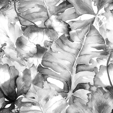 Tropikal desen. Suluboya egzotik çiçekler ve canavar yaprakları. Palm ve Hibiscus ormanları pürüzsüz. Bahar Hawaii suluboya geçmişi. Tropik palmiyeler, canavarlar, çiçek desenleri..