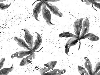 Siyah beyaz egzotik desen. Canavar ve amber çiçekleri tropik buket. Doymuş büyük çiçekli mayo izi. Yatay Kaliforniya doğal doku tasarımı. Güzel bahar botanik tasarımı.