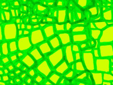 Afrika Deri Çizimi. El çizimi timsah deseni. Timsah Kusursuz Şablon. Green ve Aqua Menthe Timsah Kapanış Arkaplanı. Yırtıcı Hayvan Derisi İzi. Ejder Derisi Taklidi.