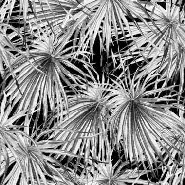 Tropikal desen. Suluboya egzotik çiçekler ve canavar yaprakları. Tertemiz siyah beyaz bitkiler. Yaz Hawaii suluboya geçmişi. Tropik palmiyeler, canavarlar, çiçek desenleri..