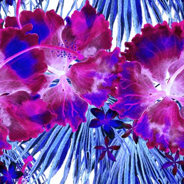 Tropikal desen. Suluboya egzotik çiçekler ve canavar yaprakları. Ultraviyole bitkiler kusursuz desende. Yaz Hawaii suluboya geçmişi. Tropik palmiyeler, canavarlar, çiçek desenleri..