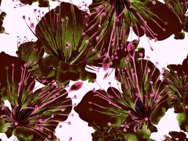 Çiçek desenli moda. Kızıl Arkaplanda Büyük Egzotik Kusursuz Parmak izi. Koca Orman Yaz Suluboya Lilikoi Sonsuz Geçmişi. Rastgele Çiçek Deseni.