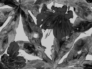 Çiçek desenli moda. Siyah ve Beyaz Arkaplanda Büyük Orman Kusursuz Parmak izi. Büyük Hawaii Baharı Sulu Tutku Meyvesi Sonsuz Arkaplan. Rastgele Çiçek Deseni.