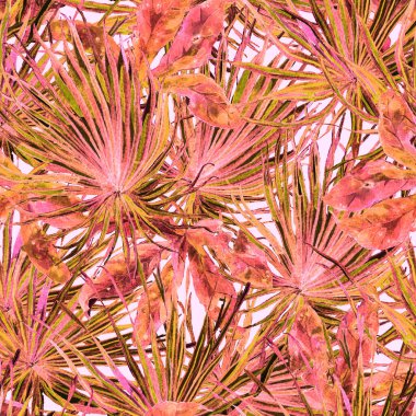 Tropikal desen. Suluboya egzotik çiçekler ve canavar yaprakları. Tertemiz beyaz kırmızı bitkiler. Yaz Hawaii suluboya geçmişi. Tropik palmiyeler, canavarlar, çiçek desenleri..