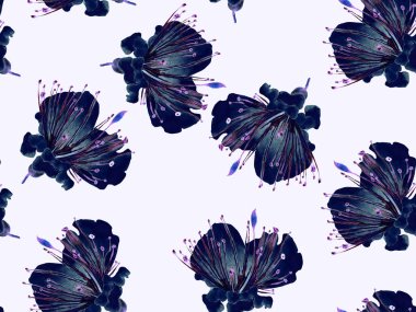 Kalın Çiçek deseni. Siyah ve Beyaz Arkaplanda Büyük Tropikal Kusursuz Baskı. Büyük Hawaii Yaz Aquarelle Maracuya Sonsuz Geçmişi. Modern Kalın Çiçek Deseni.