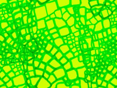 Timsah Kusursuz Şablon. Timsah Kapanış Arkaplanı. Yırtıcı Hayvan Derisi İzi. Ejderha Derisi Taklidi. El çizimi timsah deseni. Afrika Deri Çizimi. Yeşil ve Su Mentonu