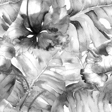 Tatil düzeni. Suluboya tropik çiçekler ve canavar yaprakları. Palm ve Hibiscus ormanları pürüzsüz. Yaz Hawaii suluboya geçmişi. Tropik palmiyeler, canavarlar, çiçek desenleri..