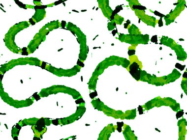 Afrika Safari Deri Çizimi. Aspid Pürüzsüz Düzen. El çizimi Aspid Deseni. Elapidae Kapanış Arkaplanı. Yeşil ve Aqua Menthe Yılan Derisi İzi. Zehirli Ejder Taklidi.