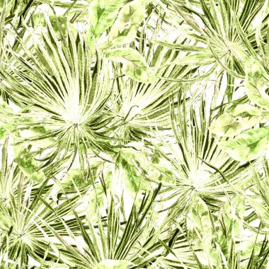 Tropikal desen. Suluboya egzotik çiçekler ve canavar yaprakları. Tertemiz beyaz kırmızı bitkiler. Yaz Hawaii suluboya geçmişi. Tropik palmiyeler, canavarlar, çiçek desenleri..