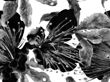 Kalın Çiçek deseni. Siyah ve Beyaz Arkaplanda Büyük Hawaii Kusursuz Parmak izi. Büyük Egzotik Yaz Suluboya Lilikoi Sonsuz Geçmişi. Modern Kalın Çiçek Deseni.