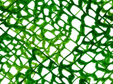 Green ve Aqua Menthe Africa Hayvan Derisi İllüstrasyonu. Timsah Kapanış Arkaplanı. El çizimi timsah deseni. Yırtıcı Hayvan Derisi İzi. Ejderha Derisi Taklidi. Timsah Kusursuz Desen.