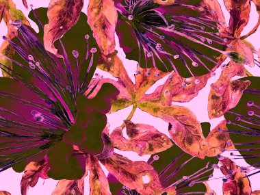 Kalın Çiçek deseni. Kızıl Arkaplanda Büyük Hawaii Kusursuz Parmak İzi. Büyük Hawaii Yaz Sulu Tutku Meyvesi Sonsuz Arkaplan. Kalın Çiçek Tasarımı.