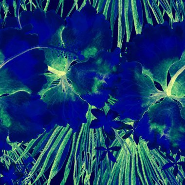 Tropikal desen. Suluboya egzotik çiçekler ve canavar yaprakları. Tertemiz siyah beyaz bitkiler. Yaz Hawaii suluboya geçmişi. Tropik palmiyeler, canavarlar, çiçek desenleri..