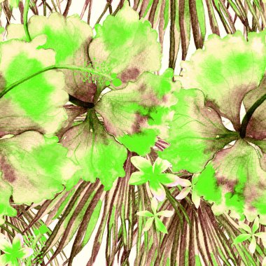 Tropikal desen. Suluboya egzotik çiçekler ve canavar yaprakları. Kusursuz desenli beyaz yeşil bitkiler. Yaz Hawaii suluboya geçmişi. Tropik palmiyeler, canavarlar, çiçek desenleri..