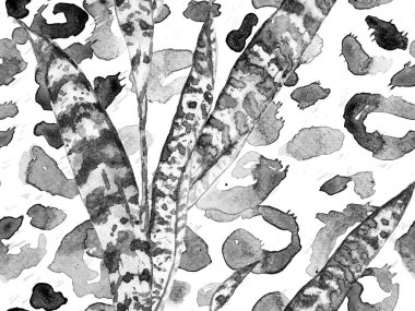 Parlak renklere sahip güzel çiçek arkaplanı