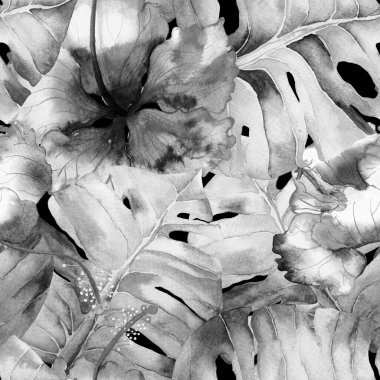 Tropikal desen. Suluboya egzotik çiçekler ve canavar yaprakları. Palm ve Hibiscus bitkileri kusursuz desende. Yaz Hawaii suluboya geçmişi. Avuç içleri, canavarlar, mayo izleri..