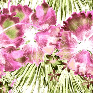 Tropikal desen. Suluboya egzotik çiçekler ve canavar yaprakları. Kırmızı yeşil bitkiler pürüzsüz desende. Yaz Hawaii suluboya geçmişi. Tropik palmiyeler, canavarlar, çiçek desenleri..