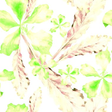 Tatil düzeni. Suluboya tropik çiçekler ve canavar yaprakları. Palm ve Hibiscus ormanları pürüzsüz. Yaz Hawaii suluboya geçmişi. Tropik palmiyeler, canavarlar, çiçek desenleri..