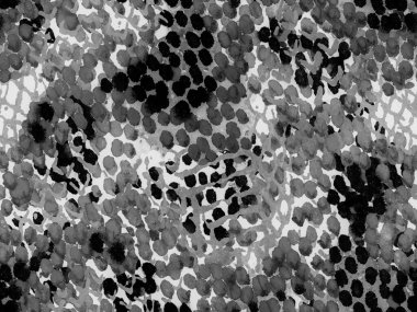 Siyah ve Beyaz Yılan Derisi Rastgele Doku. Canlı Geometrik Mayo Kalıbı. Etnik Kusursuz Düzen. Suluboya Etnik Tasarım. Yaz Rhombus Arkaplanı. Coğrafi Simetrik İkat Uyumu.