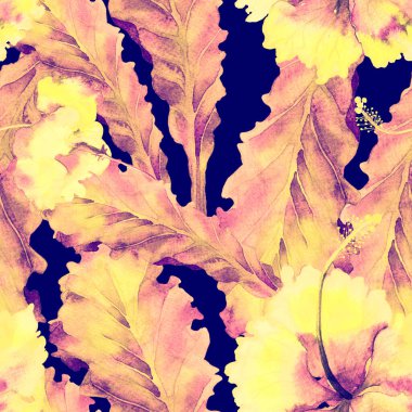 Egzotik desen. Suluboya tropik çiçekler ve canavar yaprakları. Palm ve Hibiscus ormanları pürüzsüz. Bahar Hawaii suluboya geçmişi. Tropik palmiyeler, canavarlar, çiçek desenleri..