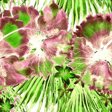 Tropikal desen. Suluboya egzotik çiçekler ve canavar yaprakları. Kırmızı yeşil bitkiler pürüzsüz desende. Yaz Hawaii suluboya geçmişi. Tropik palmiyeler, canavarlar, çiçek desenleri..