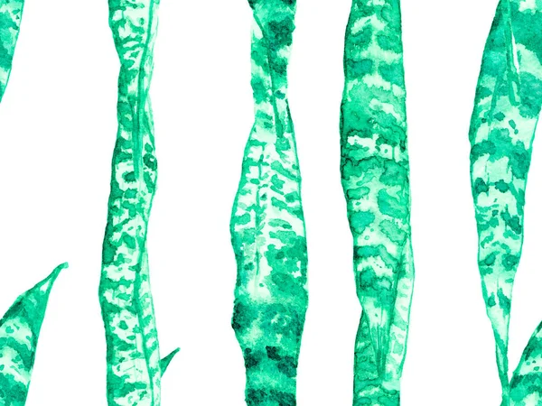 Υδατογραφία Αφήνει Seamless Pattern Πράσινο Και Aqua Menthe Exotic Swimwear — Φωτογραφία Αρχείου
