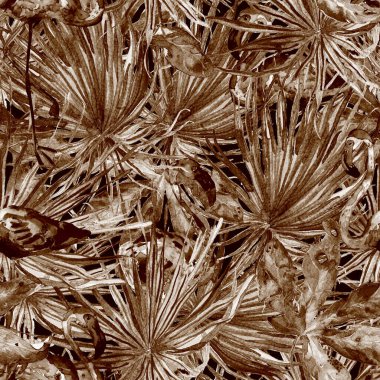 Flamingo deseni. Tropik yaz siyah beyaz baskısı. Kuşlarla dolu egzotik bahar tekstil arka planı. Moda Hawai Ormanı tekrar eden pürüzsüz fayanslar. Palm Botanik mayo tasarımı. Miami Vahşi Hayatı.