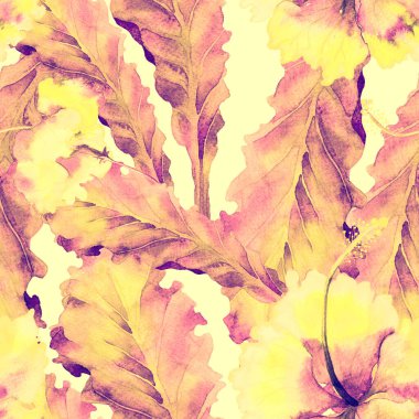 Tropikal desen. Suluboya egzotik çiçekler ve canavar yaprakları. Palm ve Hibiscus ormanları pürüzsüz. Bahar Hawaii suluboya geçmişi. Avuç içleri, canavarlar, mayo izleri..