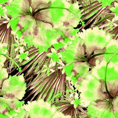 Tropikal desen. Suluboya egzotik çiçekler ve canavar yaprakları. Kusursuz desenli beyaz yeşil bitkiler. Yaz Hawaii suluboya geçmişi. Tropik palmiyeler, canavarlar, çiçek desenleri..