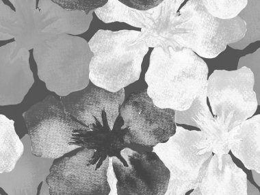 Hawaii suluboya deseni. Siyah ve beyaz tropikal desensiz çiçek deseni. Hibiscus ve zakkum Hawaii 'de. Aloha mayo tasarımı. Egzotik buket moda illüstrasyonu. Suluboya yatay fayans.