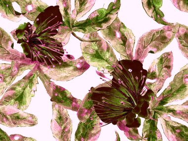 Bold Floral Print. Kahverengi Arkaplanda Büyük Hawaii Kusursuz Parmak izi, Kara Arkaplan. Büyük Tropik Bahar Kova Lilikoi Sonsuz Arkaplanı. Moda Kalın Çiçek Yazdırma.