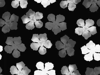 Hawaii suluboya deseni. Siyah ve beyaz tropikal desensiz çiçek deseni. Hibiscus ve zakkum Hawaii 'de. Aloha mayo tasarımı. Egzotik buket moda illüstrasyonu. Suluboya yatay fayans.