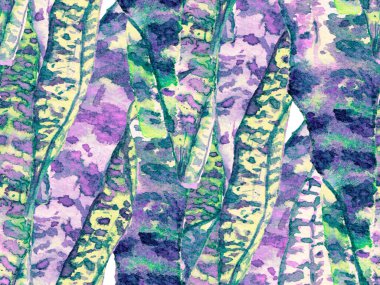 Klasik Eko Uyum. Aqua Menthe ve Proton Mor Yaz Çiçek Arkaplanı. Botanik Ormanı Çizimi. Egzotik Mayo Tasarımı. Hawaii Kova Parmak izi. Suluboya Tertemiz Desen 'i Bırakıyor.