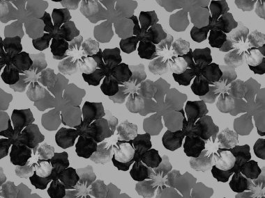 Hawaii suluboya deseni. Siyah ve beyaz tropikal desensiz çiçek deseni. Hibiscus ve zakkum Hawaii 'de. Aloha mayo tasarımı. Egzotik buket moda illüstrasyonu. Suluboya yatay fayans.