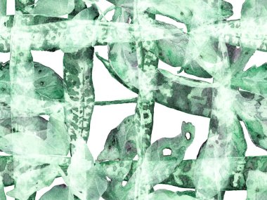 Suluboya kusursuz desen bırakır. Yaz Çiçeği Arkaplanı. Botanik Ormanı Çizimi. Egzotik Mayo Tasarımı. Hawaii Kova Parmak izi. Green ve Aqua Menthe Vintage Eko Uyum. 