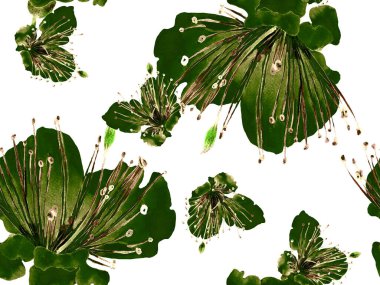 Kalın Çiçek deseni. Yeşil Arkaplanda Büyük Hawaii Kusursuz Parmak izi. Büyük Hawaii Baharı Sulu Granadilla Sonsuz Arkaplan. Kalın Çiçek Tasarımı.