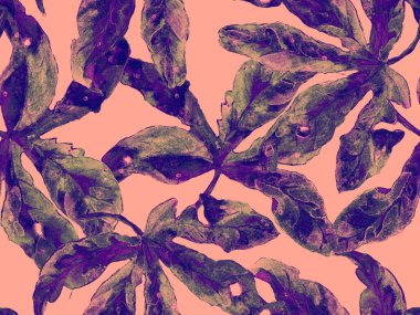 Kalın Çiçek deseni. Kızıl Arkaplanda Büyük Hawaii Kusursuz Parmak izi. Büyük Egzotik Bahar Kova Maracuya Sonsuz Arkaplanı. Kalın Çiçek Tasarımı.