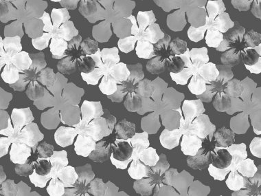 Hawaii suluboya deseni. Siyah ve beyaz tropikal desensiz çiçek deseni. Hibiscus ve zakkum Hawaii 'de. Aloha mayo tasarımı. Egzotik buket moda illüstrasyonu. Suluboya yatay fayans.