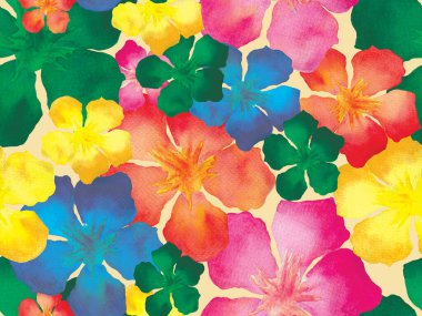 Hawaii suluboya deseni. Gökkuşağı çiçekli tropikal iz. Hibiscus ve zakkum Hawaii 'de. Aloha mayo tasarımı. Egzotik buket moda illüstrasyonu. Suluboya yatay fayans.