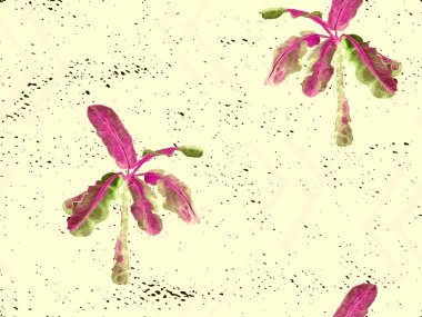 Sarı pembe egzotik desen. Canavar ve amber çiçekleri tropik buket. Hawaii tişörtü ve mayo fayansı. Yatay Kaliforniya doğal doku tasarımı. Güzel bahar botanik tasarımı.