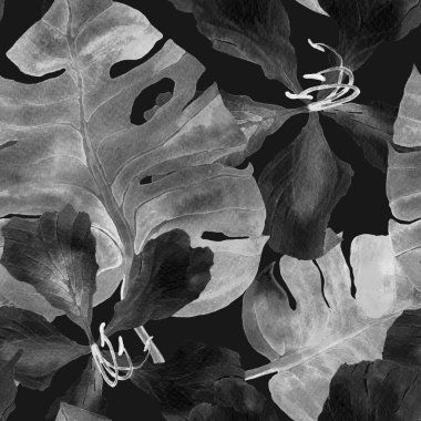 Tatil düzeni. Suluboya tropik çiçekler ve canavar yaprakları. Palm ve Hibiscus bitkileri kusursuz desende. Yaz Hawaii suluboya geçmişi. Tropik palmiyeler, canavarlar, çiçek desenleri..